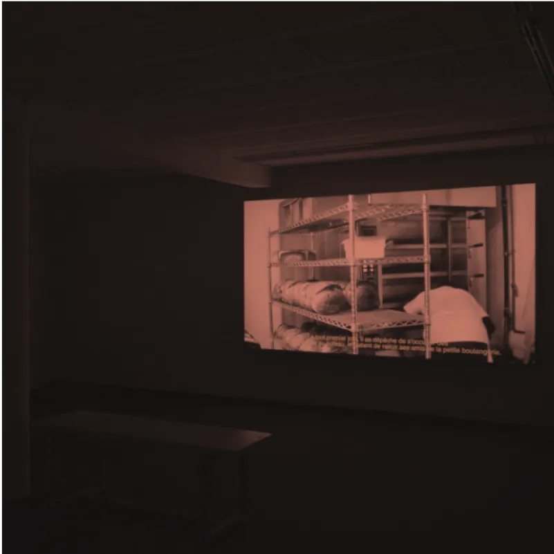 imageGrid1 image projection documentaire