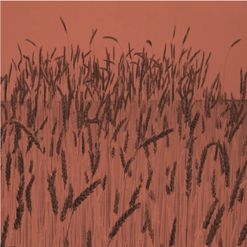 imageGrid4 image exposition Crac 19