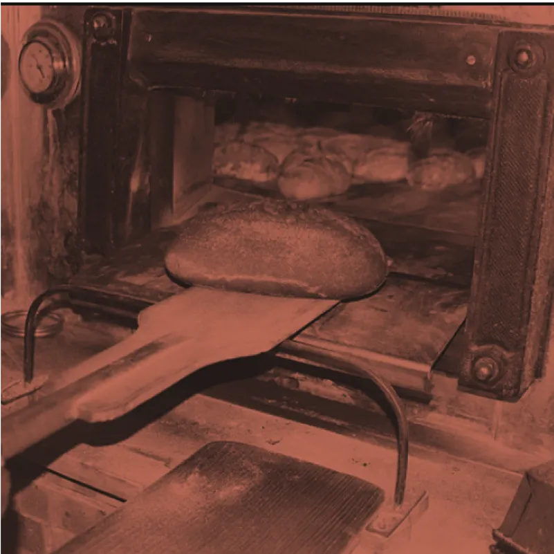 imageGrid3 image exposition Crac 19